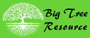 big-tree